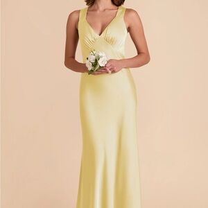 Birdy Grey Veronica Dress
Matte Satin Lemon Sorbet